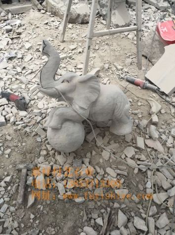 点击查看详细信息<br>标题：动物4 阅读次数：1415