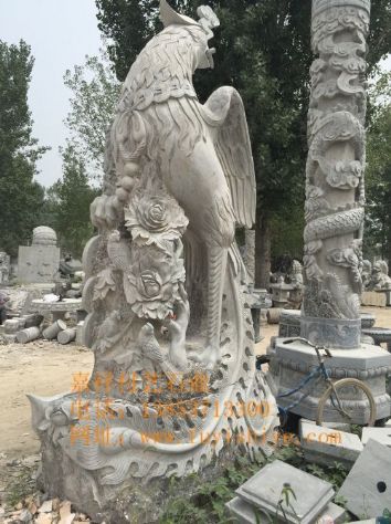 点击查看详细信息<br>标题：动物3 阅读次数：1434