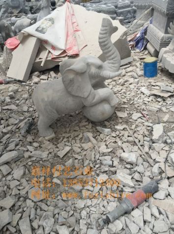 点击查看详细信息<br>标题：动物1 阅读次数：739
