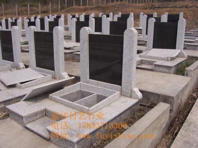 点击查看详细信息<br>标题：墓碑16 阅读次数：1543